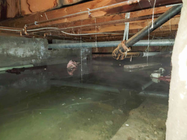 Carpet water damage restoration in Avery Creek, NC