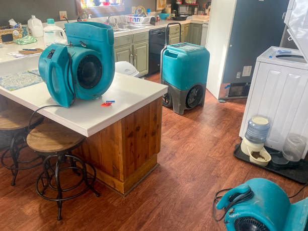 Best Sewage cleanup and water damage restoration  in Avery Creek, NC